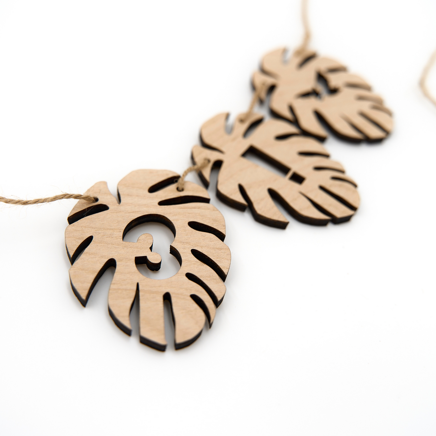 Wood Monstera Leaf Name Banner