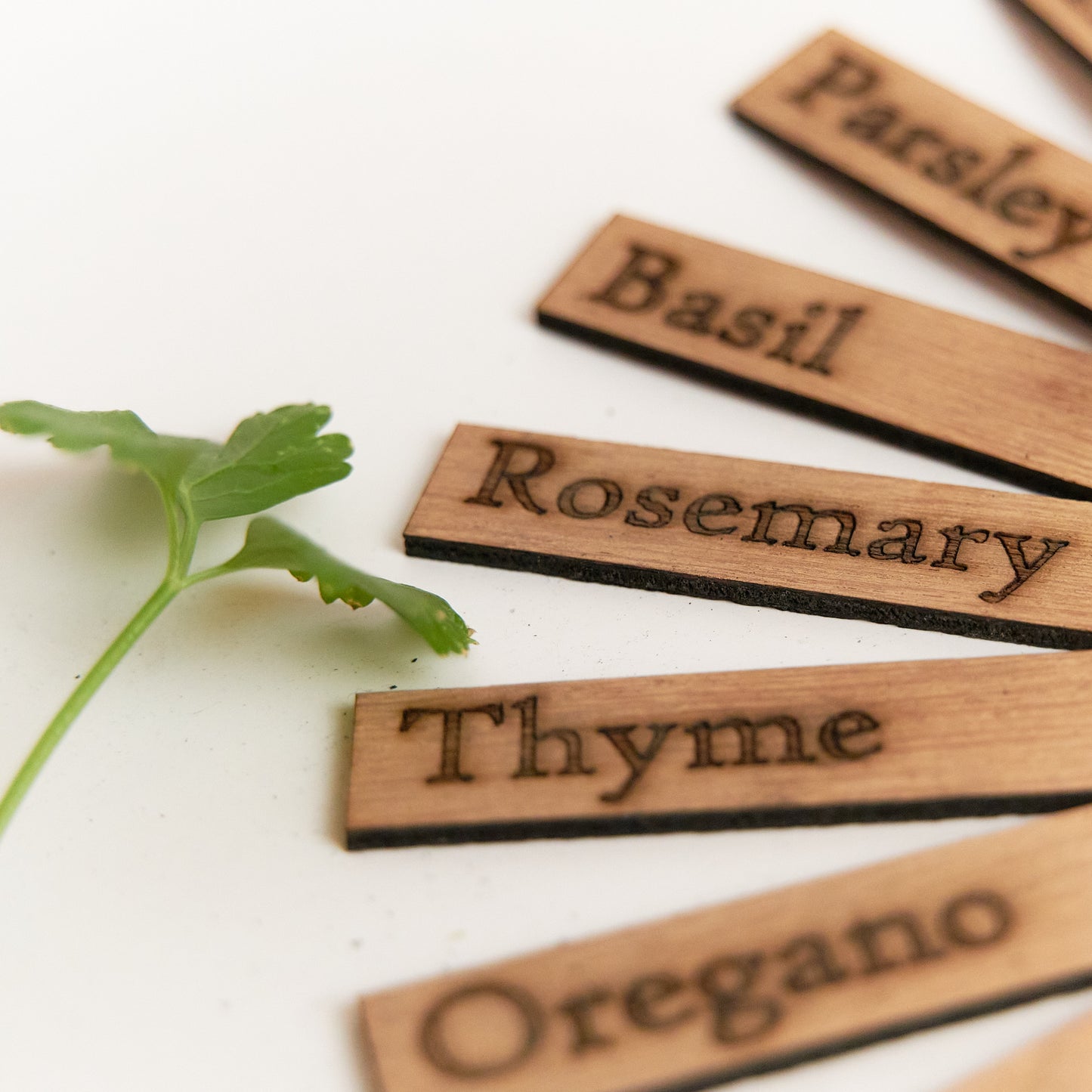 Wood Plant Label Set of 8